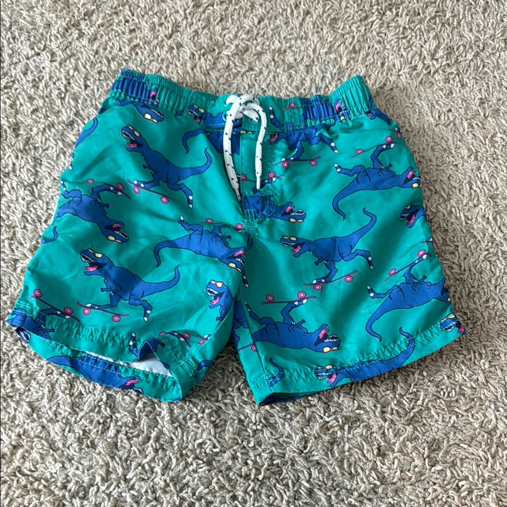 4t Dinosaur Swim Trunks